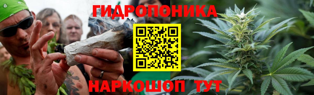 Шишки марихуана ГИДРОПОН Краснокамск